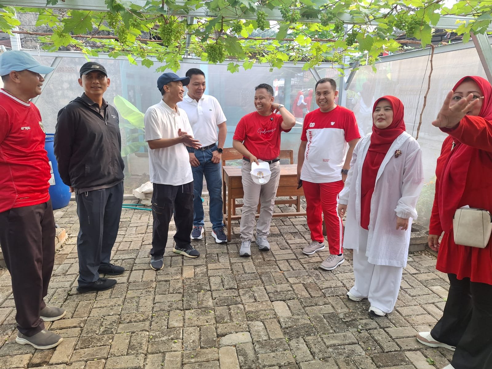 Kebun Anggur 2